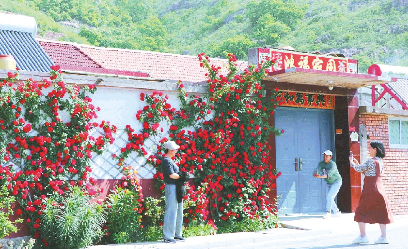 滿架薔薇開(kāi)